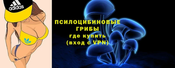 скорость Елизово