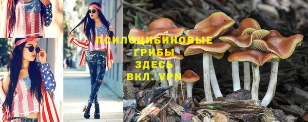 mix Ельня