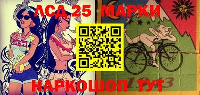 стаф Кандалакша