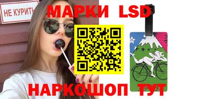 стаф Кандалакша