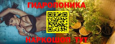 стаф Кандалакша
