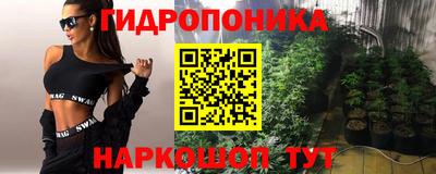 эйфоретик Кинель