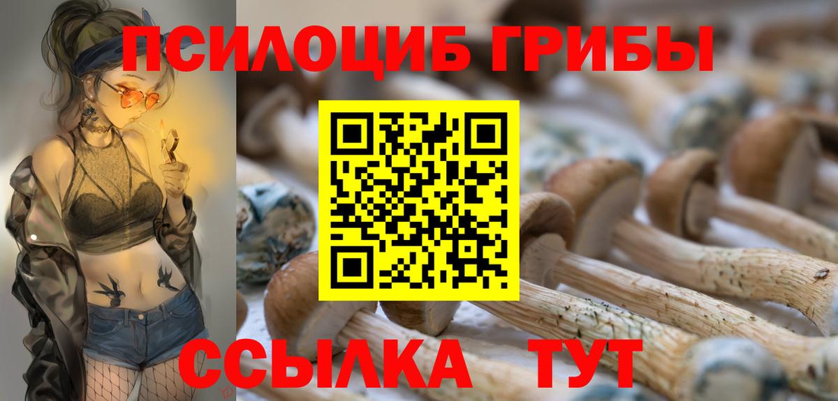 Галлюциногенные грибы MAGIC MUSHROOMS Протвино