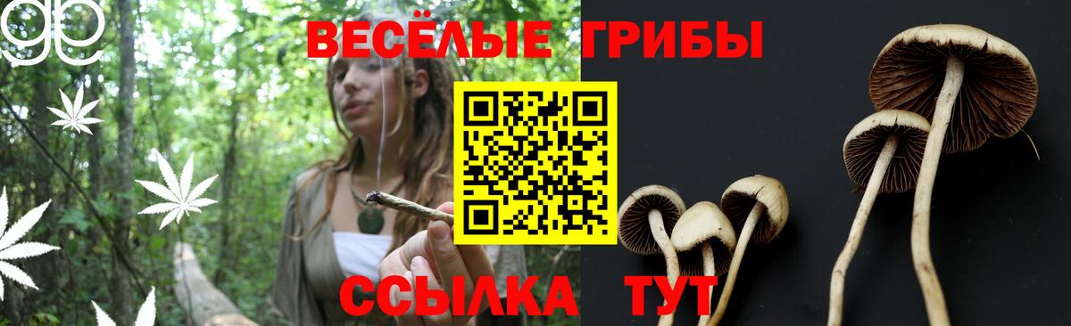 Галлюциногенные грибы GOLDEN TEACHER  Вход с VPN  наркошоп  Протвино 