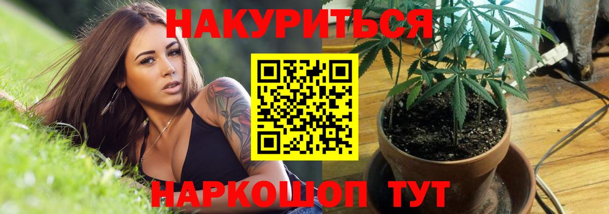 Конопля Ganja Протвино